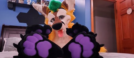 thepineapplefox pornstar pretty pictures