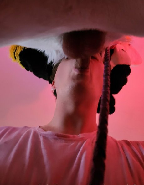 thepineapplefox star nice pic