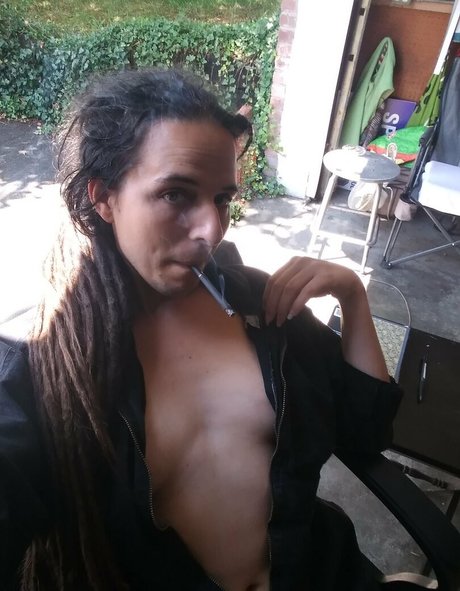 brannouailis nice star galleries