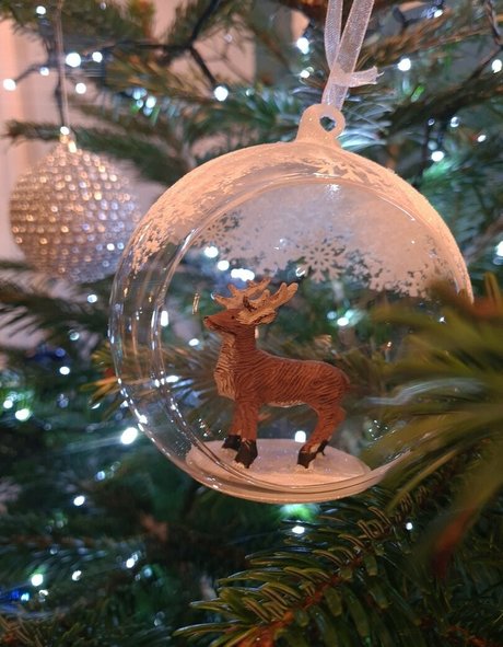 kayleigh95 top model archive