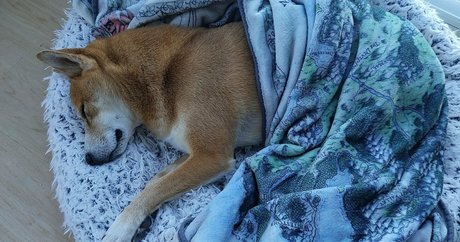 ccbunz pornstar xxx pictures