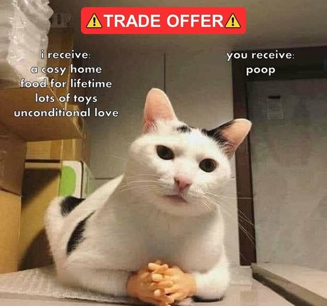 ccbunz pornstar erotic galleries