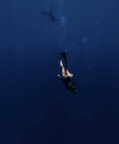 LilyMarie f adult actress img