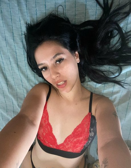 antonellamaria hd star archive