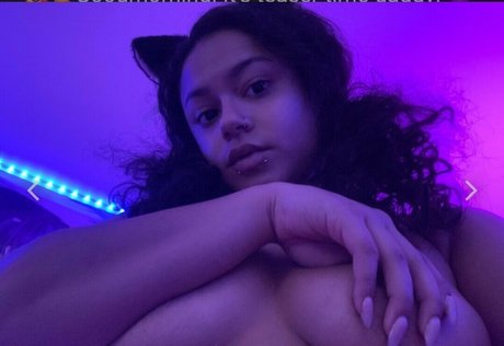 Hellazebra model top photos