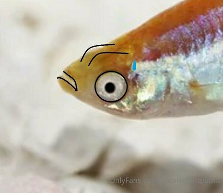 aaronicflintpublic sex pornstar archive