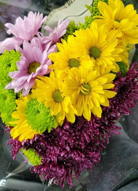 alex alaina after dark pornstar top picture