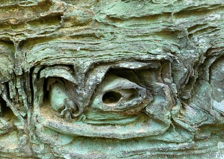 balls onlyfans hot xxx archive