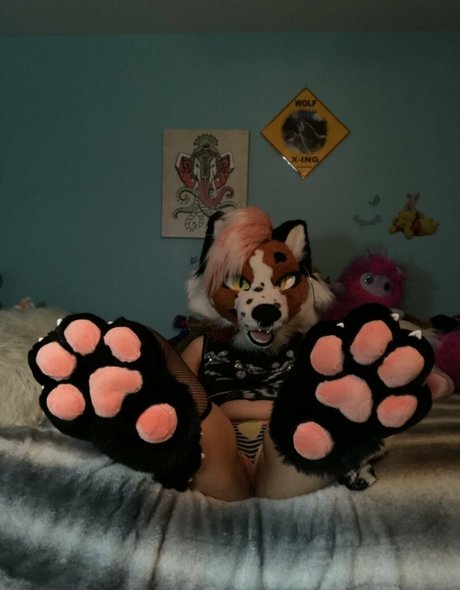 fox anatomy model perfect pic