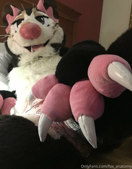 fox anatomy star hd photos