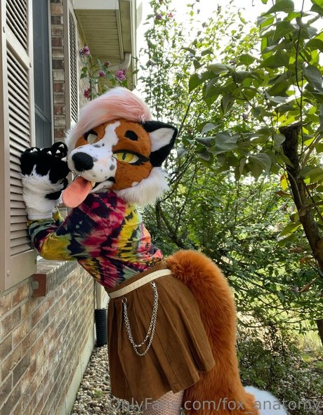 fox anatomy pornstar top image