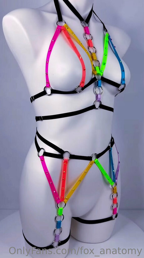 fox anatomy top model img