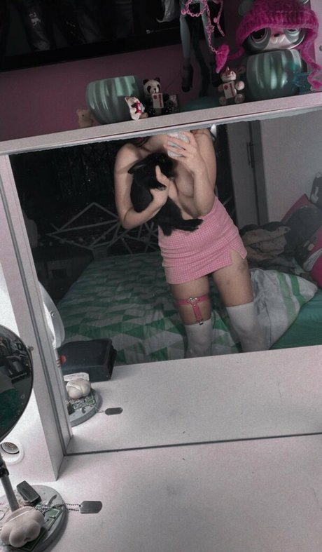 Coelho__pink star pretty galleries