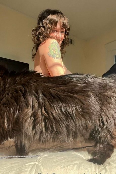 doridawn high quality star galleries