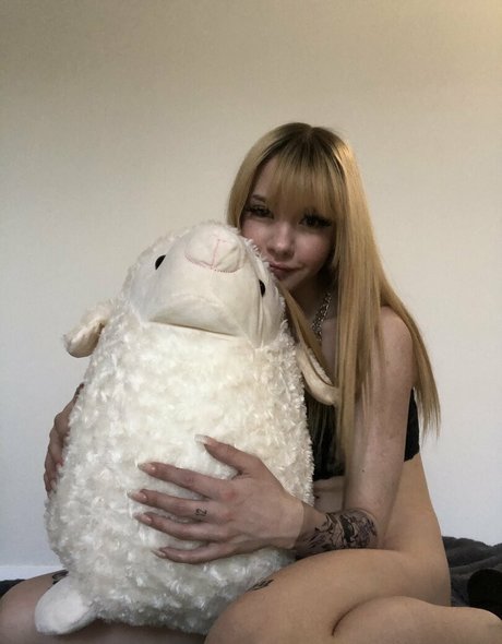 ninecloudz star beautiful gallery