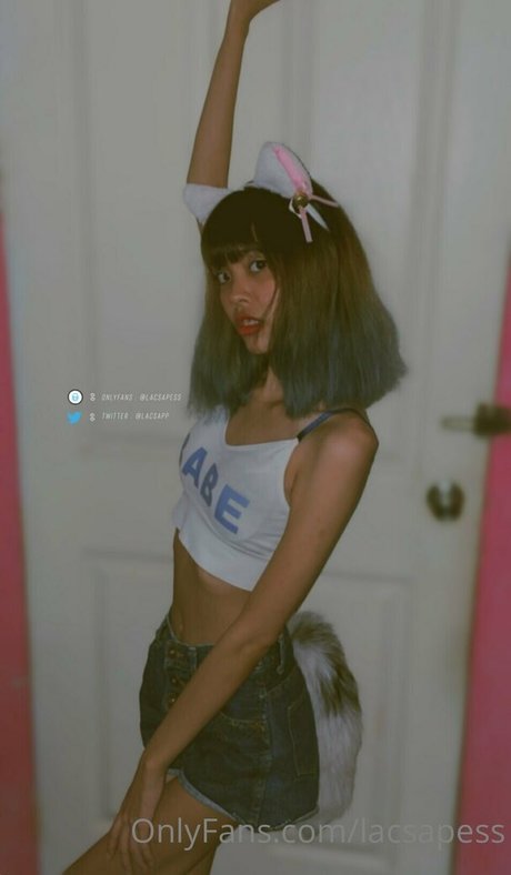 bibbob star adult photo