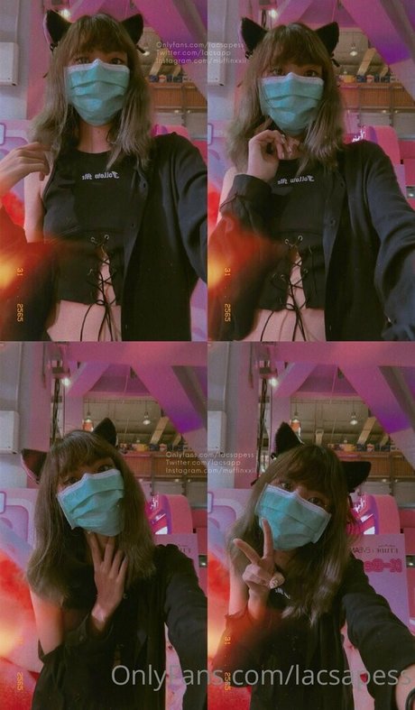 bibbob nice model img