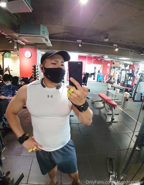 largedogcollar nudes actress pictures