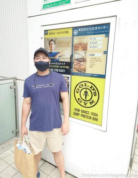 largedogcollar hot actress image