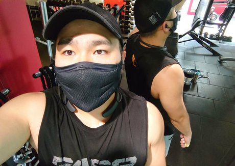 largedogcollar star free image