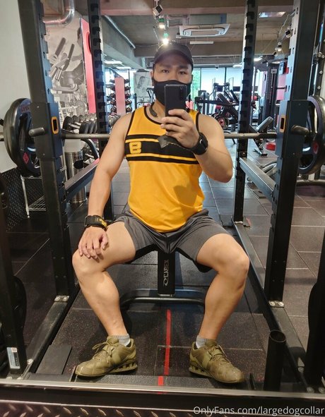 largedogcollar pretty actress galleries