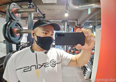 largedogcollar Profile pic