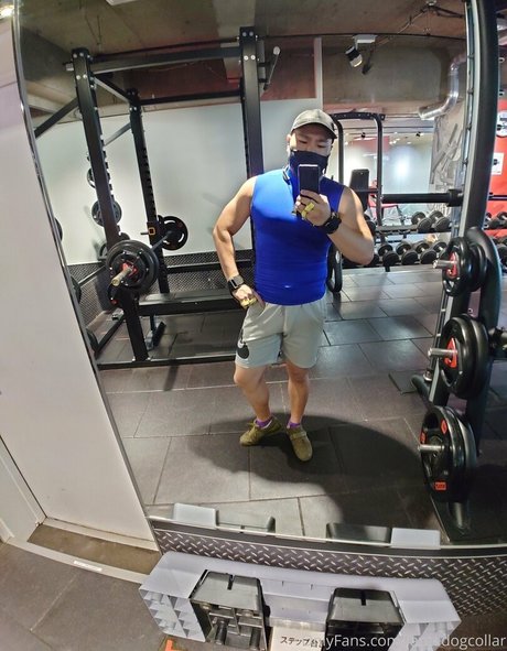 largedogcollar pornographic model pic