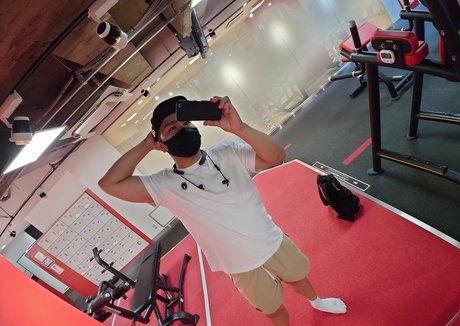 largedogcollar star top photo