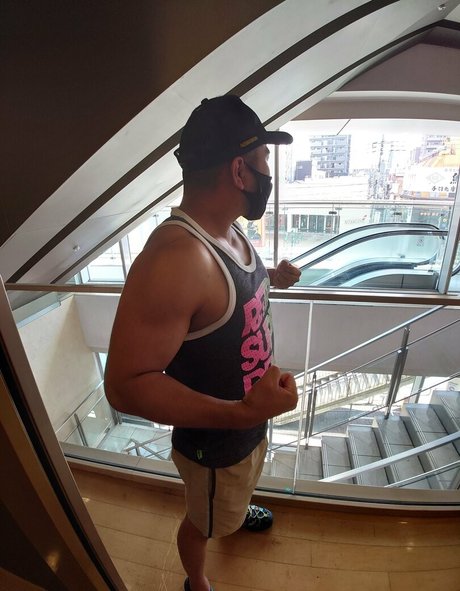 largedogcollar star galleries