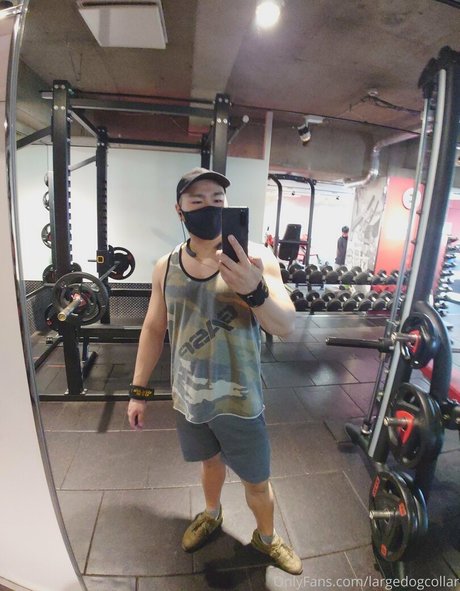 largedogcollar perfect model images