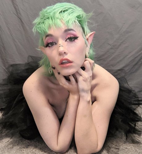 the land of odd Profile pic