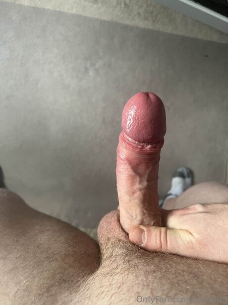 Conbud star adult galleries