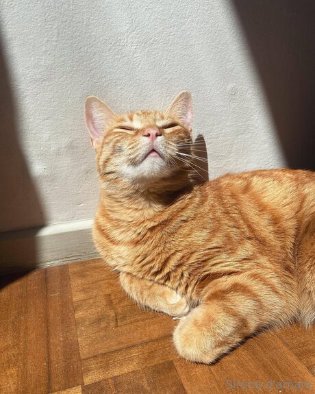 milf blowjob onlyfans free sexy pictures