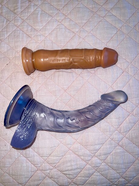 Ashleysortega nice star img