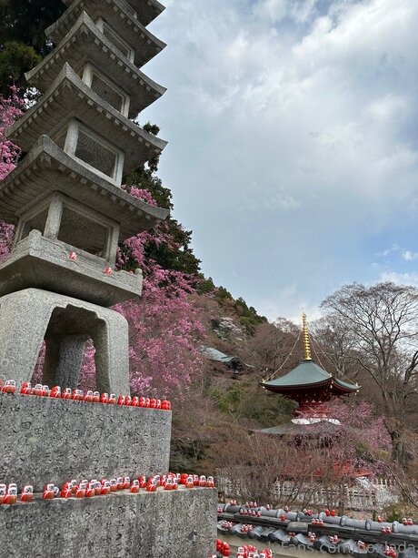 Noxlada pornstar hd image