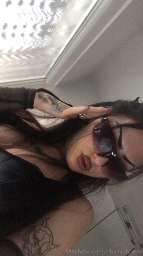 Occ Coaching exclusive star gallery