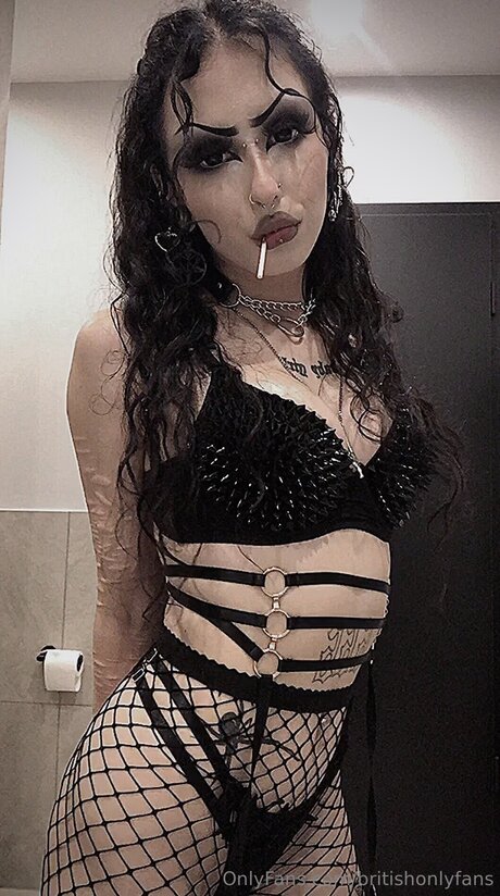 Occ Coaching high quality star archive