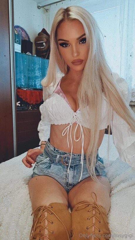 Lusygigi model top image