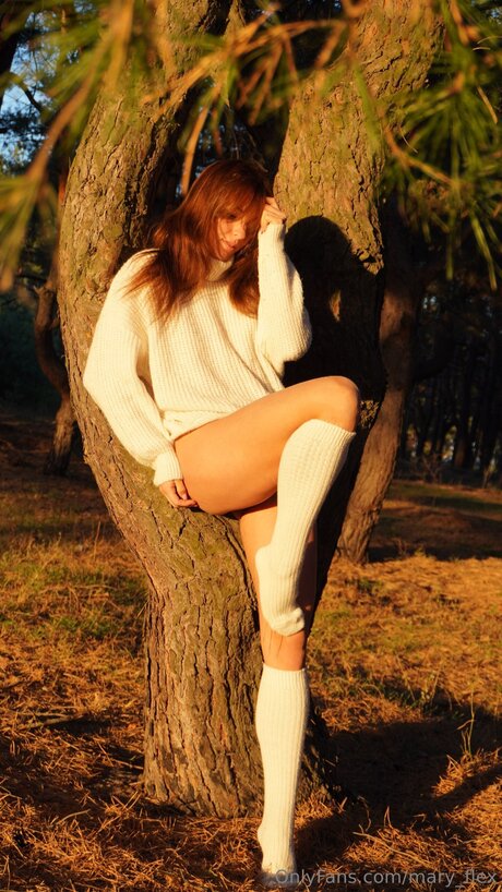 Mary Flex adult actress photos