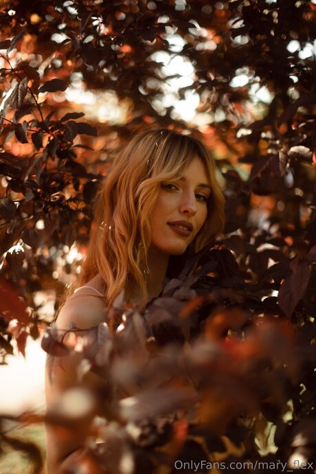 Mary Flex star art img