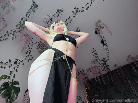 My Blushy Kittn Free pretty pornstar archive