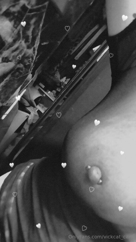 Vickcat Cam model adult image