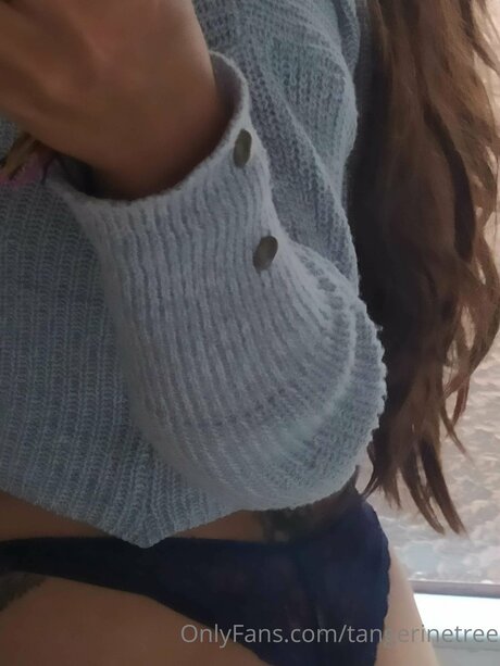 Tangerinetree pornstar perfect archive