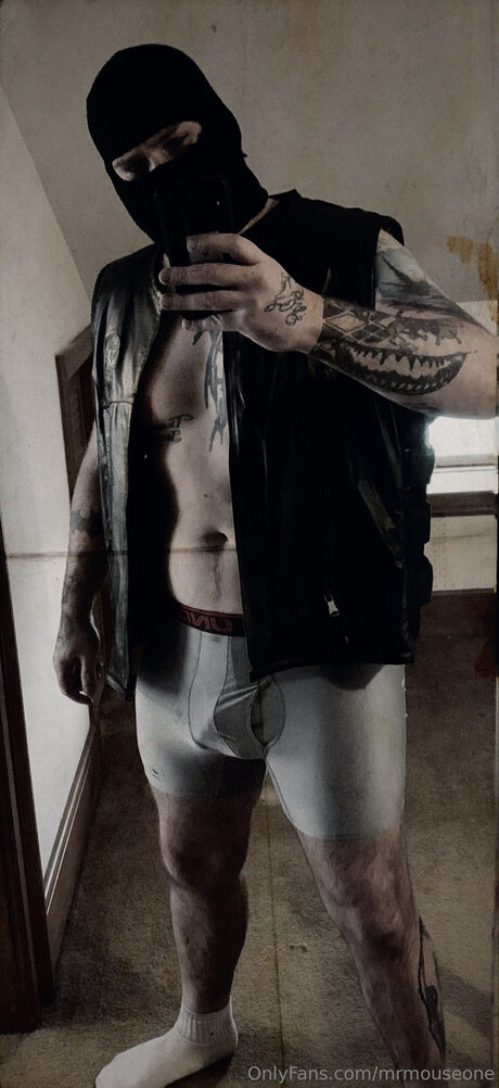 Mrmouseone pornstar free picture