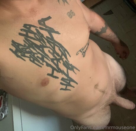 Mrmouseone star sex images