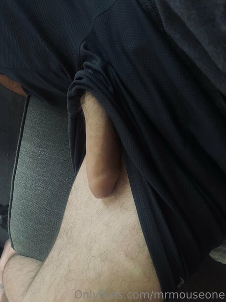 Mrmouseone model porn images