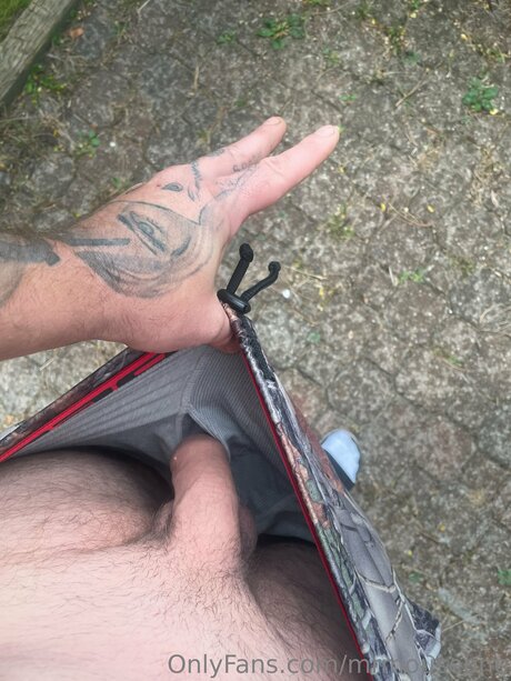 Mrmouseone adult actress pics