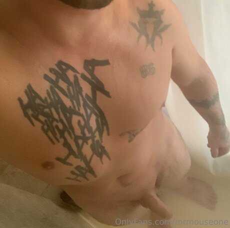 Mrmouseone free pornstar galleries