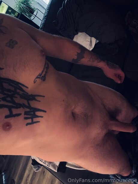 Mrmouseone model best images