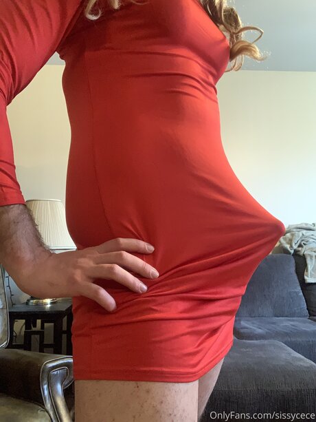 Sissycece high quality model img